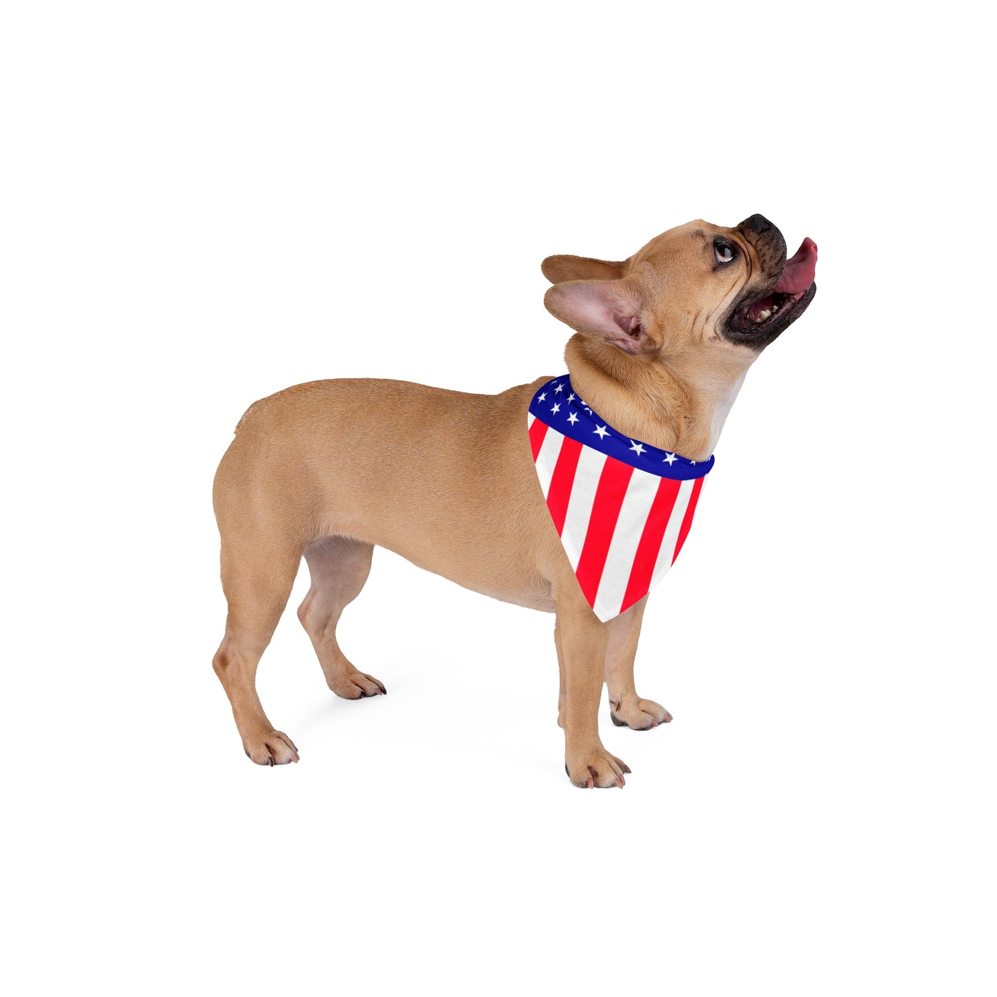 Patriotic Pet Bandana